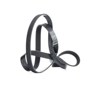 تسمه دینام بی ام و x6 اتاق e71